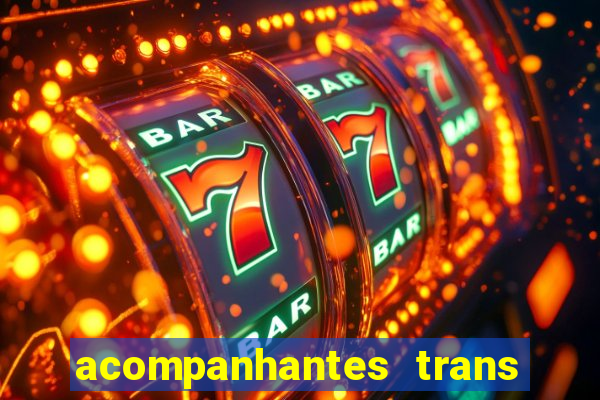 acompanhantes trans baixada fluminense